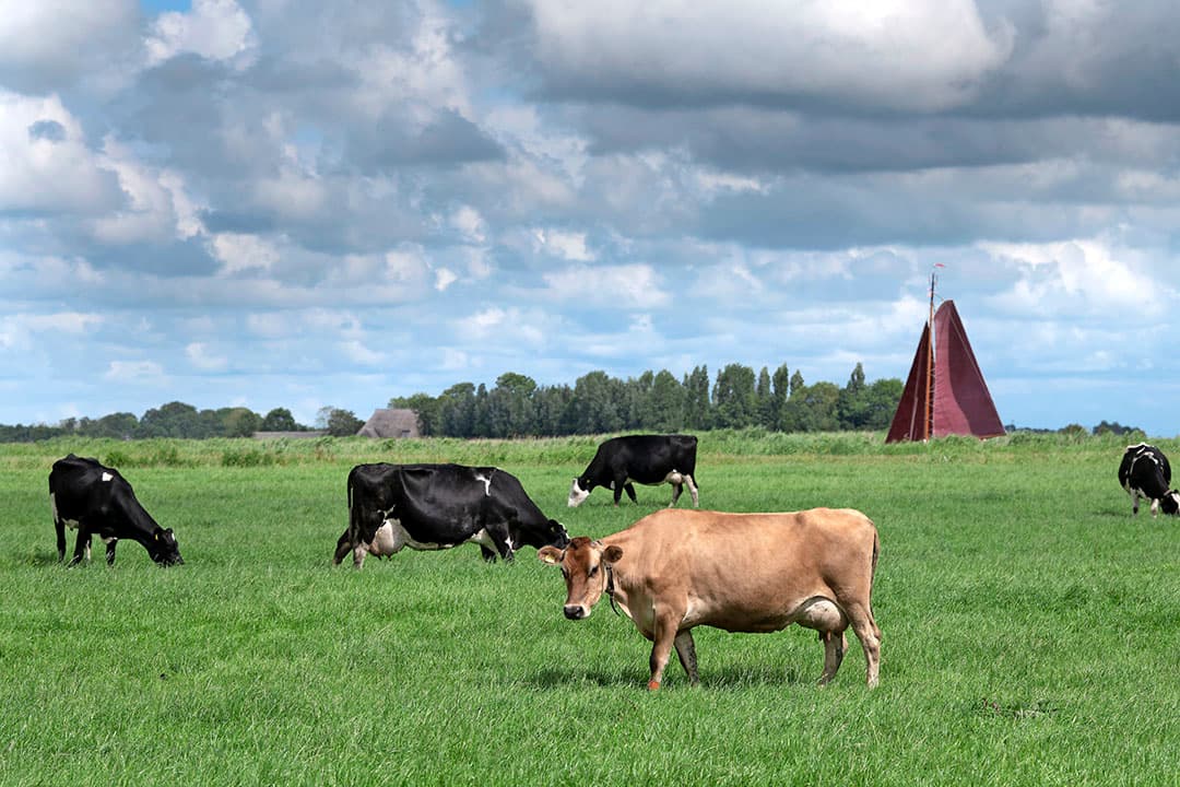 Natuurinclusieve landbouw dierziektes