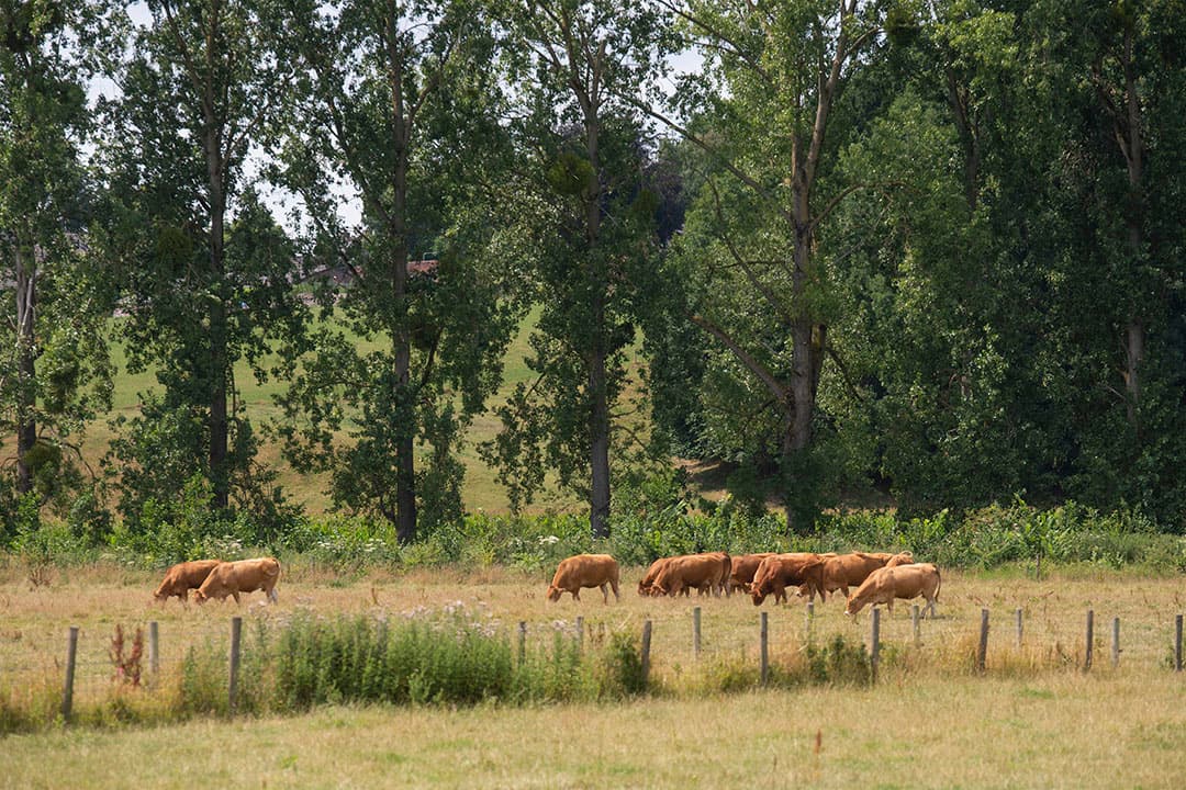 landbouwtransitie