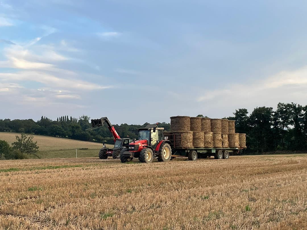 Een Franse oogstfoto van Annerie van Bommel die deze zomer met haar gezin van Toldijk (Gld.) naar Champeon emigreerde. - Foto: Annerie van Bommel