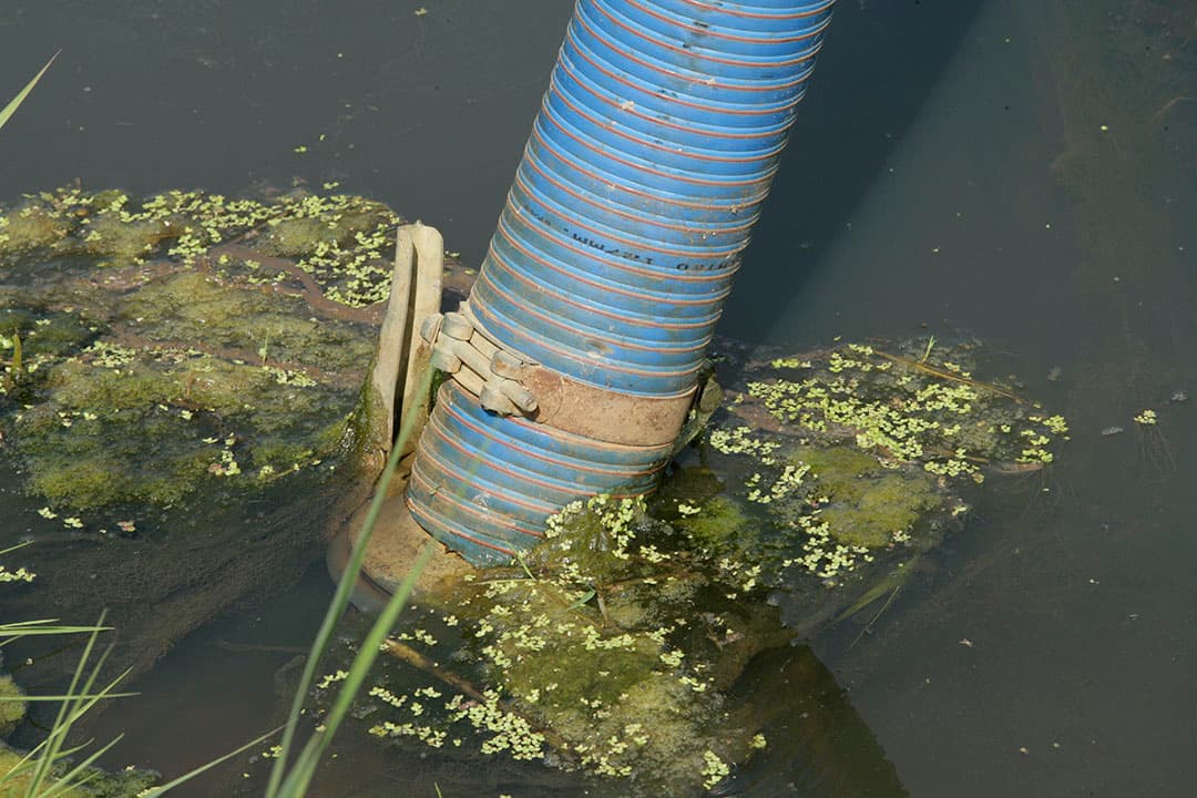 Waterschappen benadrukken dat het van belang is om zo zuinig mogelijk met het nog beschikbare water om te gaan. - Foto: Henk Riswick