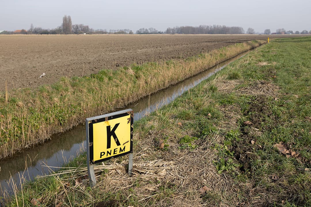 Foto: Peter Roek