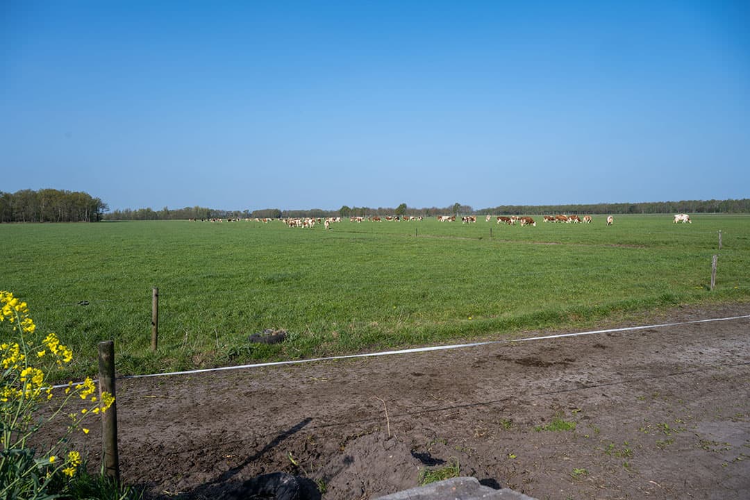 Foto: Michel Velderman