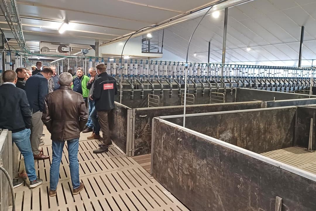 Bezoekers in de zeugenstal van Barend van Santvoort. Hij gaat werken met groepshokken en vloervoedering.  De vloer is 60% dicht. - Foto: Kees van Dooren