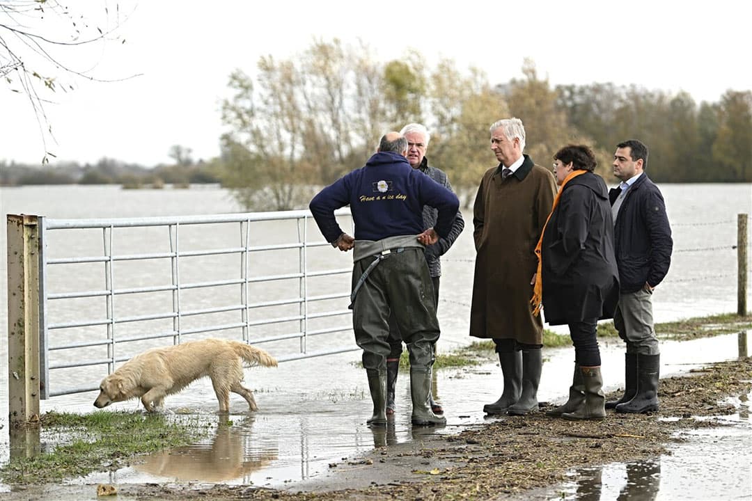 Koning Filip bezocht afgelopen vrijdag, 17 november, overstroomde gebieden in West-Vlaanderen. Wateroverlast bedreigt 20-30% van de nog te rooien Belgische aardappeloogst. - Foto: ANP