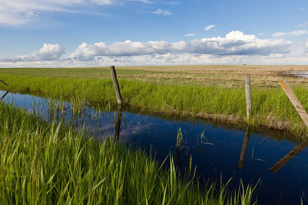 In de komende weken beslissen de besturen over de definitieve belastingtarieven voor volgend jaar, waarna de meeste waterschappen rond 1 maart 2024 hun belastingaanslagen versturen. - Foto: Canva