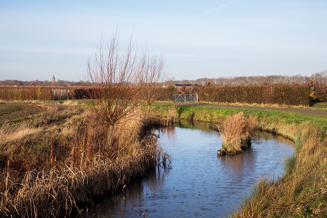 Foto: Herbert Wiggerman