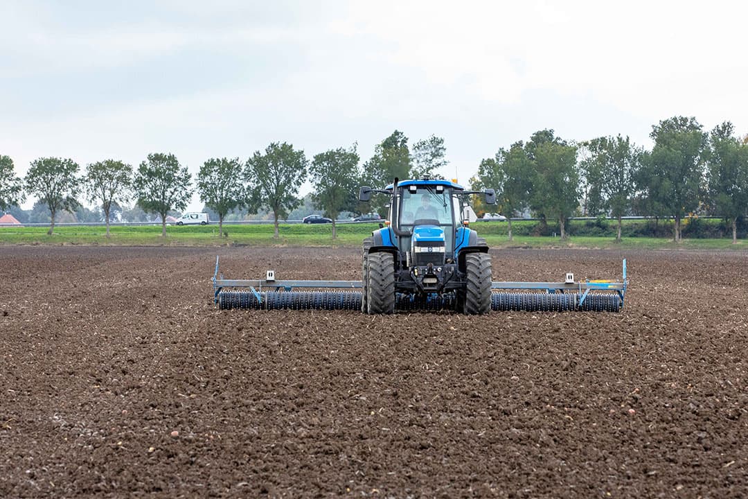 Wintertarwe is gezaaid op een perceel in Groningen waar aardappelen en suikerbieten hebben gestaan. Na het zaaien wordt er direct gerold. - Foto: Koos van der Spek