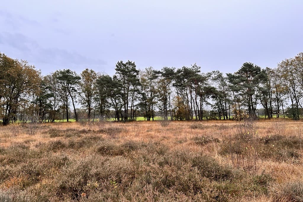 raad van state pas-melders