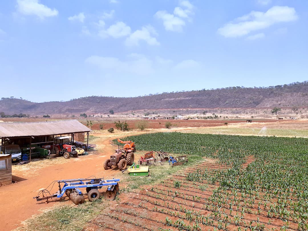 Na de start van de crisis in Zimbabwe kromp de melkveehouderij sterk. Op een bedrijf nabij hoofdstad Harare werden eens 20.000 koeien gemolken en al het ruwvoer geproduceerd. Het hele bedrijf ging ter ziele. Nu staan er enkele kleine melkveebedrijven met tientallen koeien.