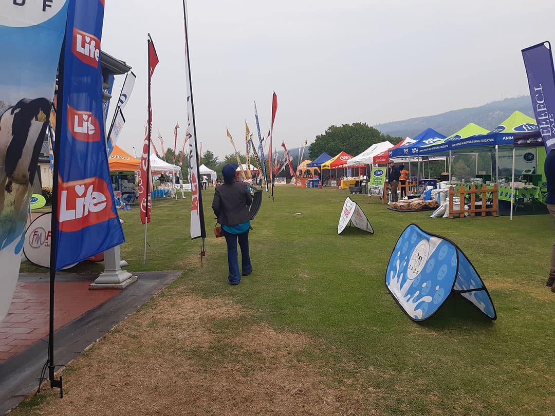 Op uitnodiging van de Zimbabwaanse zuivelsector is er een beurs georganiseerd om de opbouw van deze sector te ondersteunen. In de afgelopen jaren is er, met financiële steun vanuit het buitenland, Holstein en Jersey melkvee uit Zuid-Afrika aangekocht.