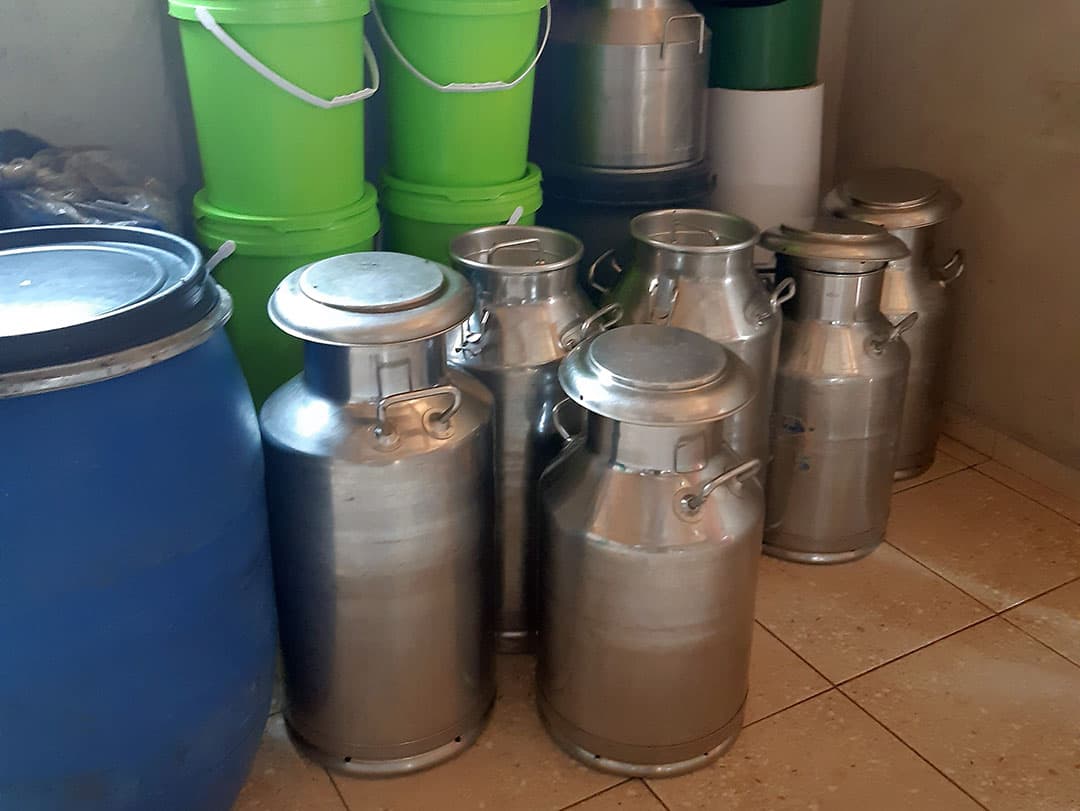 Een kleine boer bezit doorgaans minder dan 10 koeien en maakt gebruik van melkbussen om de melk te transporteren of te verkopen. De melk wordt verkocht voor ruim 60 eurocent per liter, waarvan de winstmarge voor de veehouder ongeveer 10% bedraagt.