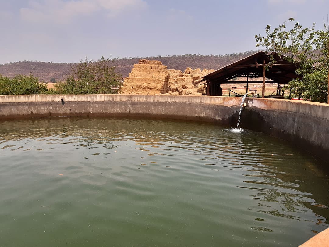 Water is een knelpunt maar niet het grootste probleem. In de heuvels en bergen valt in het natte seizoen voldoende water en ook zijn er ondergrond grote waterreserves. Maar de opslag en het vasthouden van water voor het droge seizoen, vraagt nog wel om de nodige aandacht.