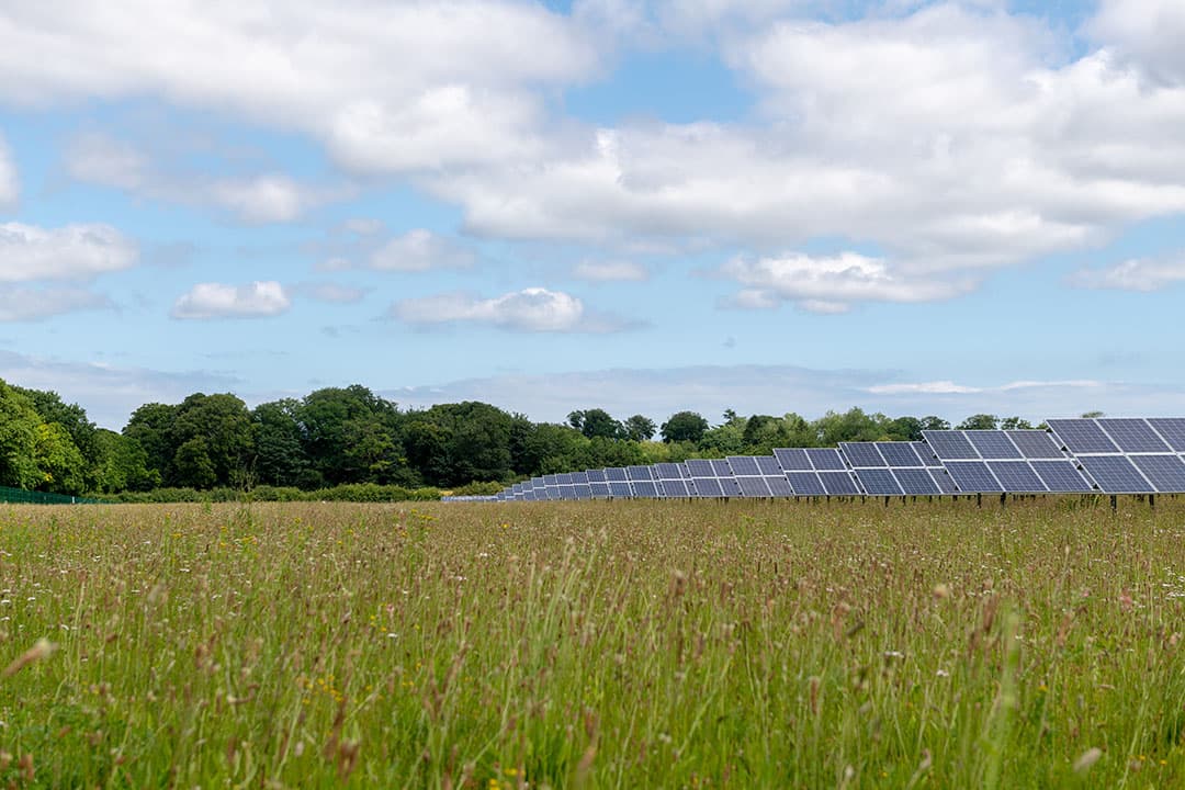 Met zonneweides kan het land dubbel gebruikt worden en als ondernemer genereer je een vast inkomen. - Foto's Lightsouce