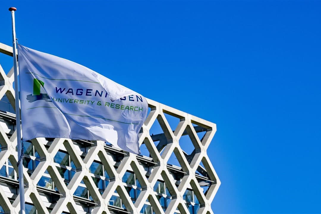 In een gezamenlijke brief uiten landbouworganisaties kritiek op de opstelling van de Wageningse universiteit in hun recente visiestuk over het toekomstige landbouwbeleid. - Foto: ANP