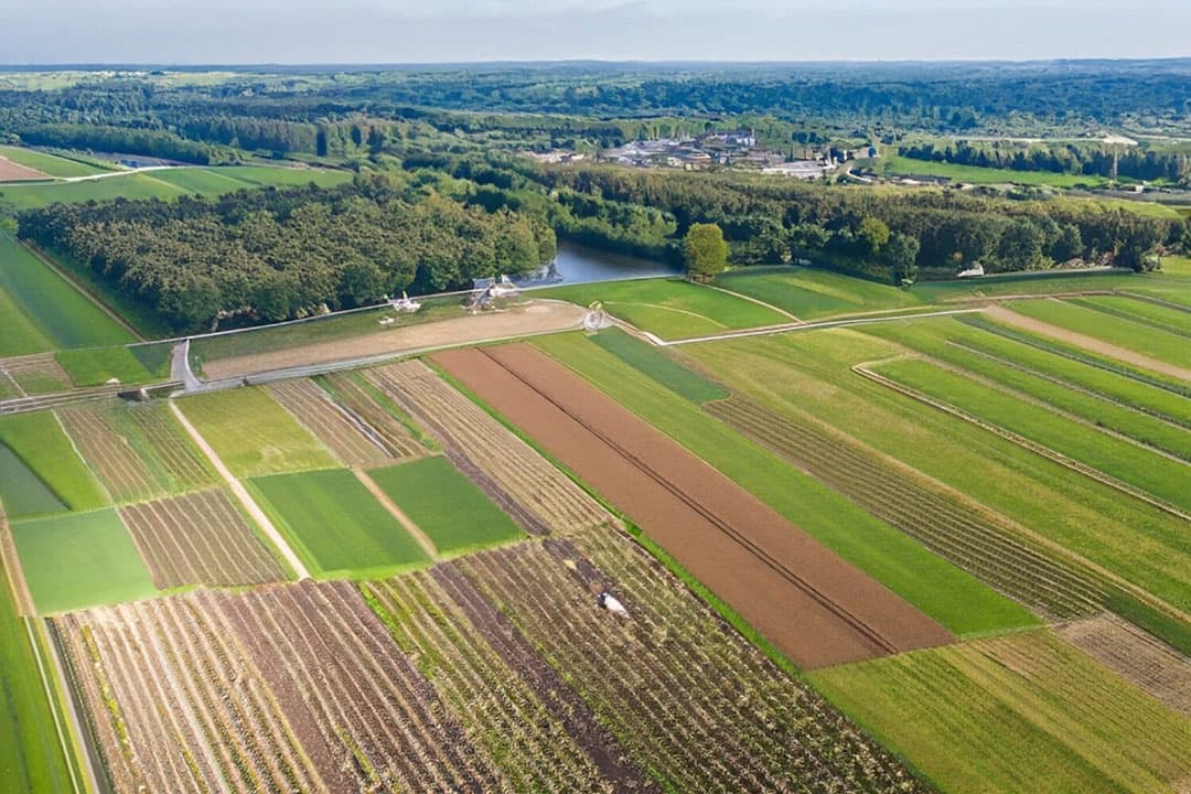 Landbouwgrond verdeeld in kleine percelen, symbool van de recente grondspeculatie nabij stedelijke hotspots zoals Amsterdam en Groningen. - Afbeelding: Adobe, gegenereerd met AI