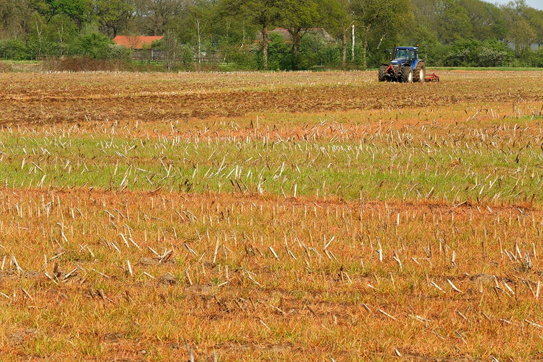 toelating glyfosaat nederland