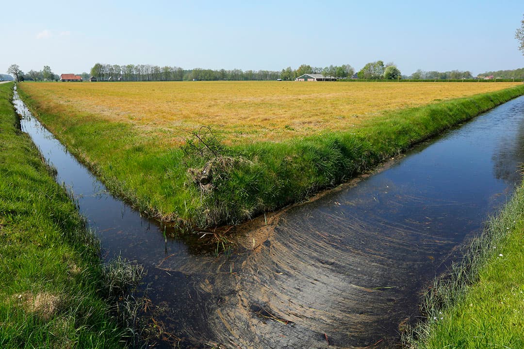 verbod glyfosaat 2025