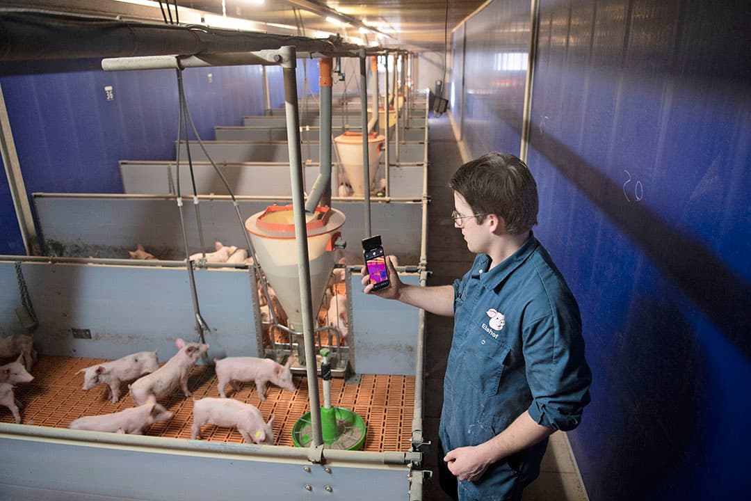 Slimme meters zijn nog geen gemeengoed, aldus varkensdierenarts Robin van Kampen. Zelf maakt hij wel graag gebruik van technische hulpmiddelen, zoals warmtebeeldcamera’s. - Foto: Mark Pasveer
