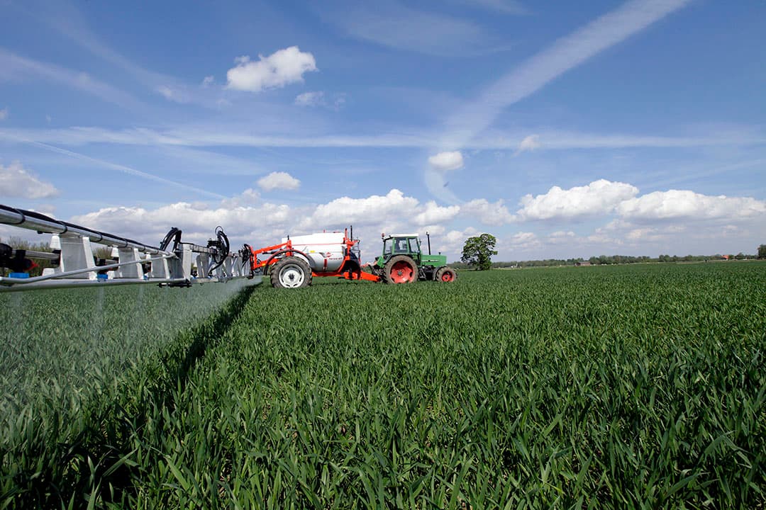Spuiten van tarwe. Luisbestrijding in de herfst voorkomt uitbreiding van vergelingsziekte. - Foto: Henk Riswick