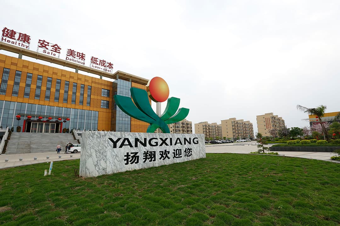 Beeld van Chinees varkensbedrijf Yangxiang. - Foto: Henk Riswick