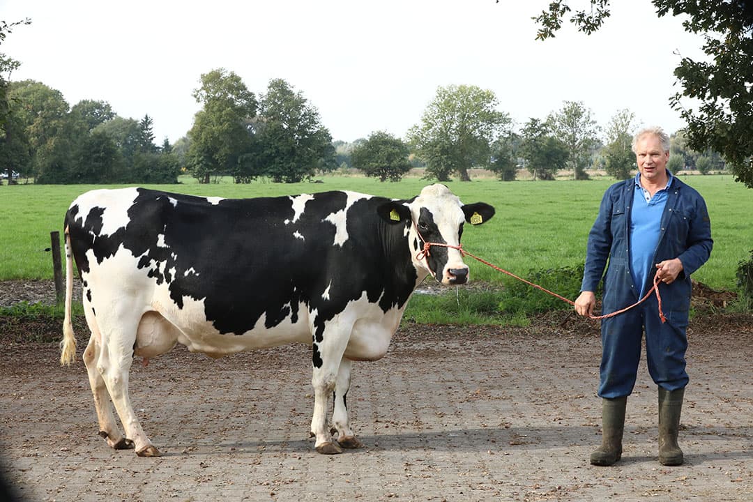 Melkveebedrijf Van Zijtveld-Bos uit De Glind (Gld.) realiseerde de hoogste levensproductie: hun 20 afgevoerde koeien hadden een gemiddelde leeftijd van 10 jaar en gaven 92.332 kilo melk. – Foto: Henk Riswick