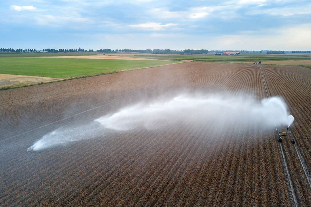 Beregenen van aardappelen tijdens een hittegolf. Volgens berekeningen van het KNMI zullen extreme situaties meer voor gaan komen. - Foto: Peter Roek
