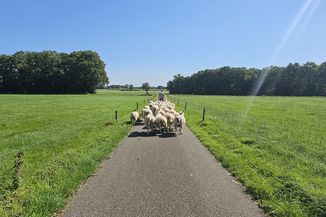 Foto: Miranda Nolten-Westerhof