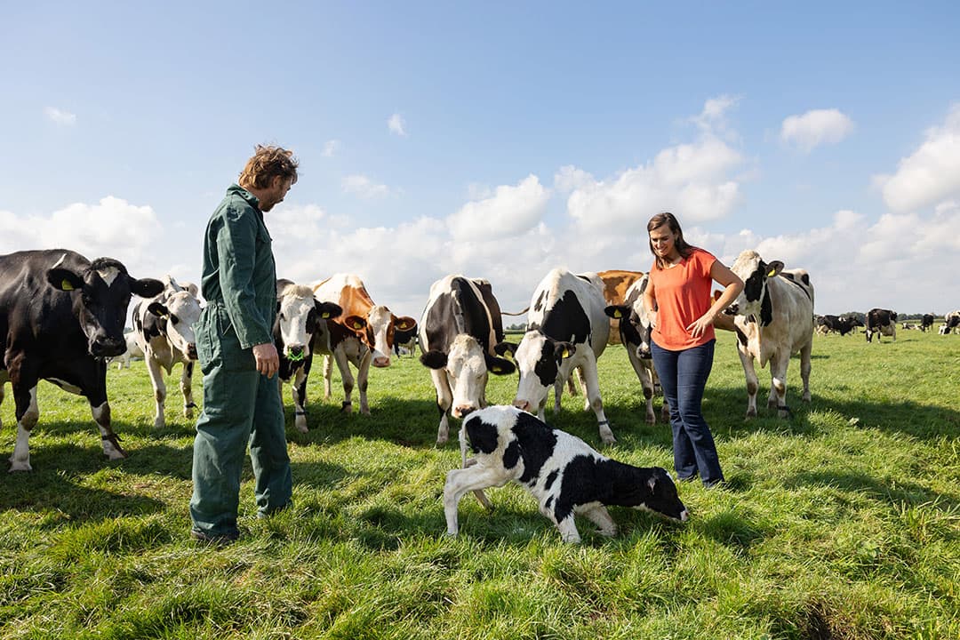 Judith blijft naar de zonnige kant kijken. Aan de andere kant duurt een baaldag bij Rick maar anderhalf uur. - Foto's: Herbert Wiggerman
