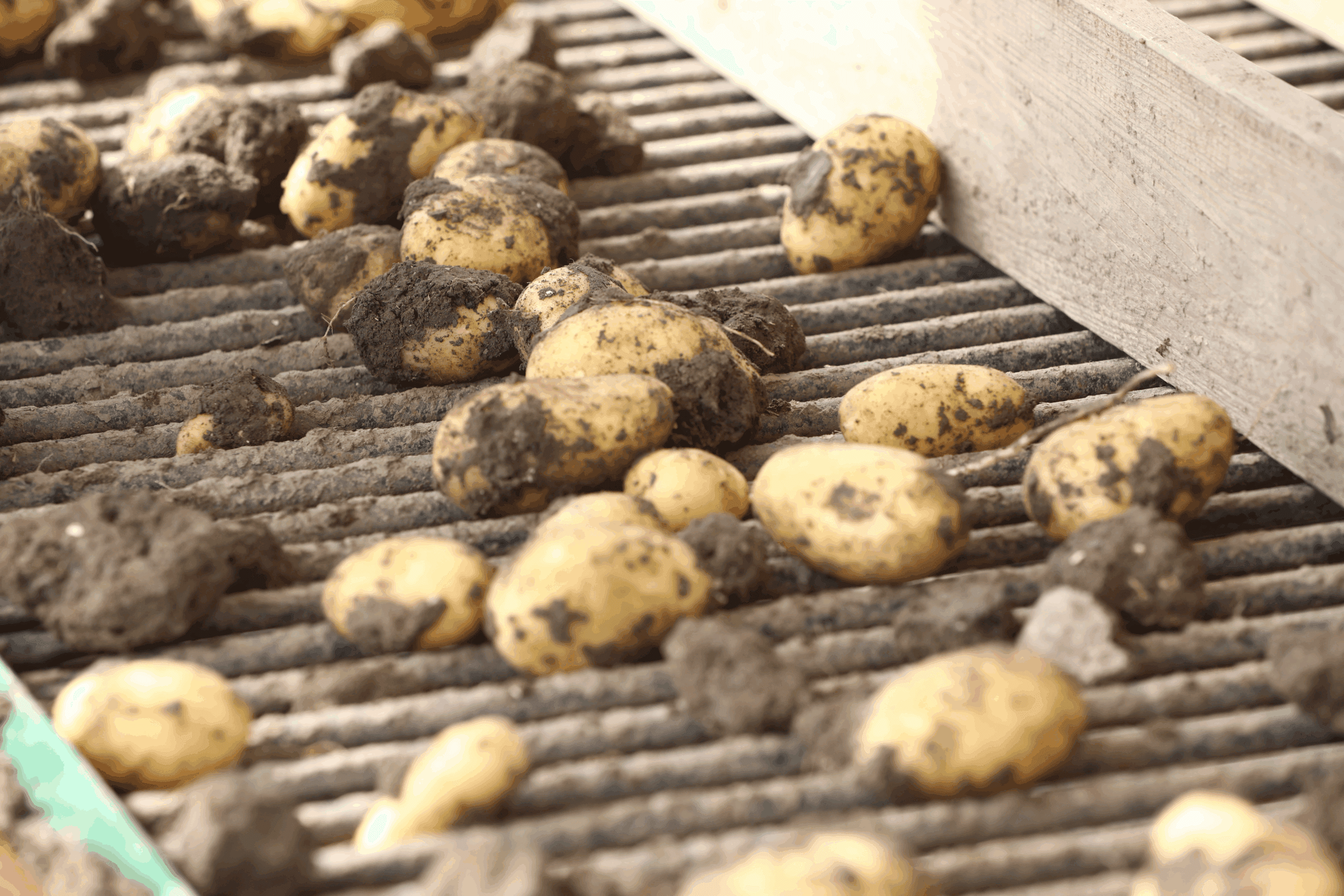 Agrico neemt Royal ZAP over