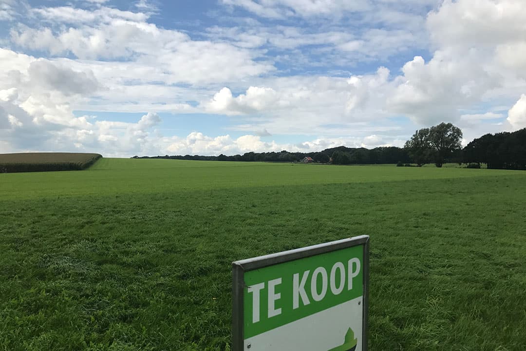 Foto: Martijn ter Horst