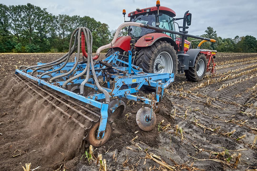 Landbouwminister Piet Adema heeft besloten om in de provincies Friesland, Groningen en Drenthe uitstel te geven in de uiterlijke inzaaidatum van een vanggewas na mais op zandgrond. - Foto: Van Assendelft Fotografie