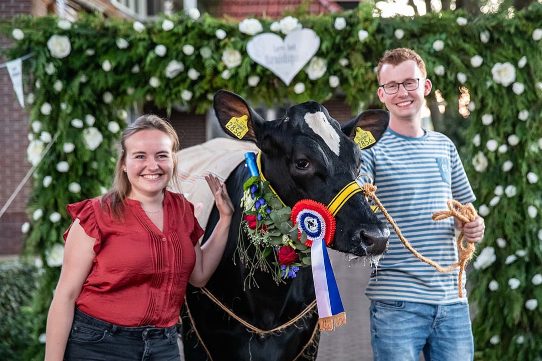 Mirko Valk en Mariëlle KleinJan uit Daarle (Ov.) werden vlak voor hun bruiloft verrast met een bruidskoe.  Deze oude traditie is een soort bruidsschat die de vader van de bruid meegeeft. - Foto's: Ronald Hissink