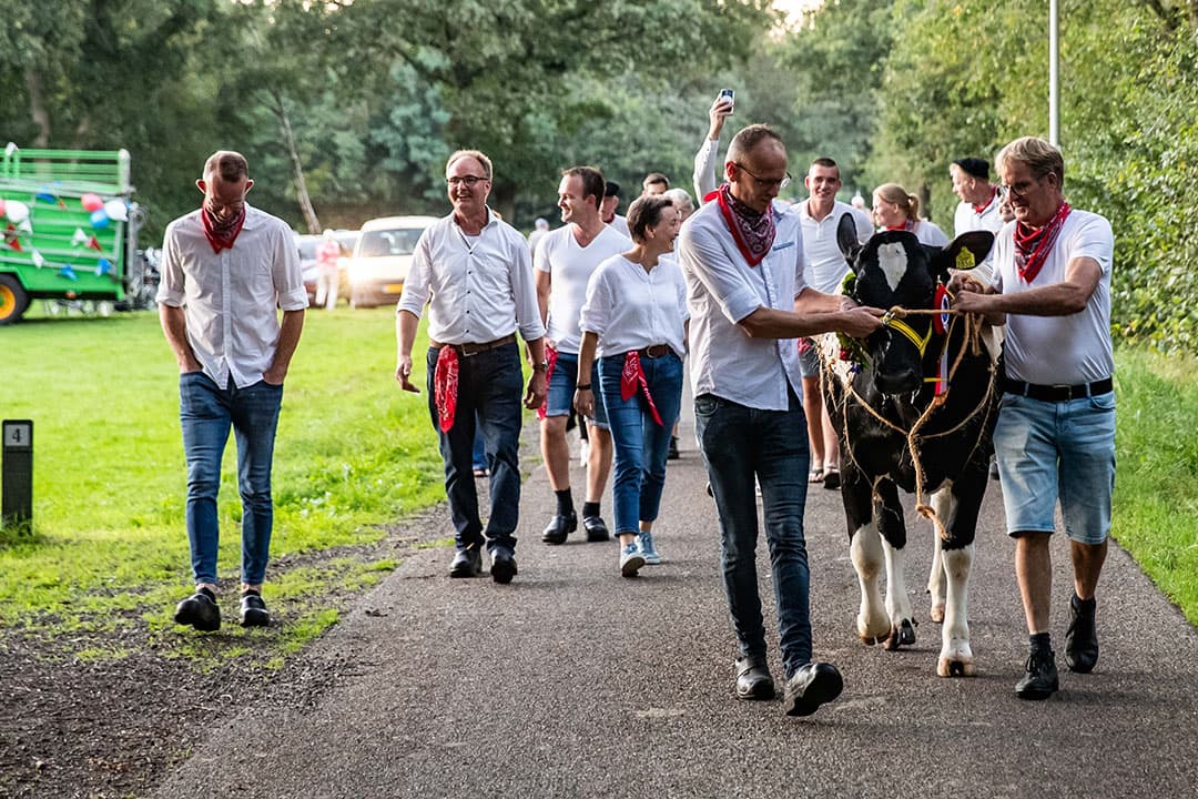 Bruidskoe Carla wordt uitgeladen, het laatste stuk leggen ze te voet af. Het is een vrolijke stoet en de stemming zit er goed in.