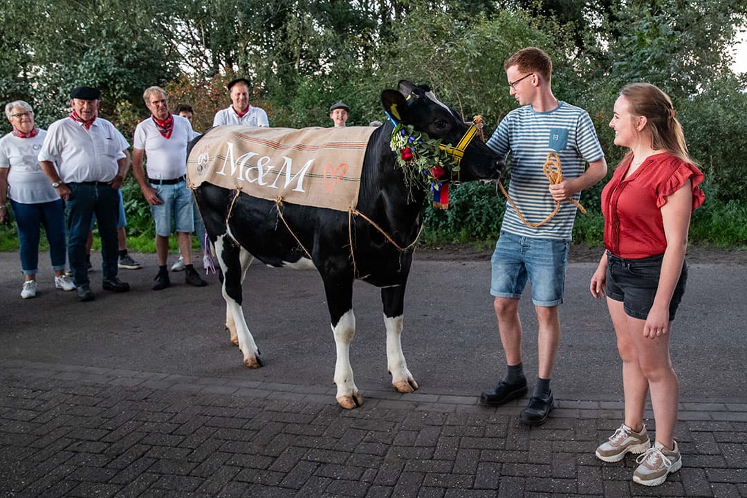 416831 Een bruidskoe voor Mirko Valk en Mariëlle KleinJan
