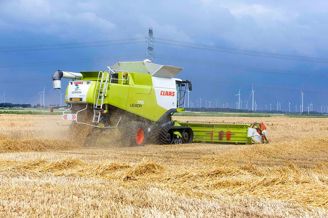 Het combinen van wintertarwe op 8 juli in Woldendorp (Gr.). Saaten-Union gaat door met de ontwikkeling van hybride wintertarwevariëteiten en stelt dat hybrides ook voordelen biedt voor Nederlandse telers. - Foto: Koos van der Spek