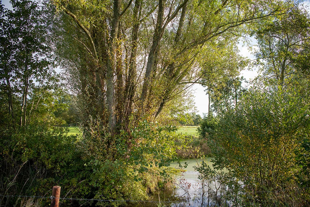De ecoregeling in het GLB krijgt drie nieuwe activiteiten. Boeren krijgen punten voor precisiegewasbescherming, precisiebemesting en fertigatie.