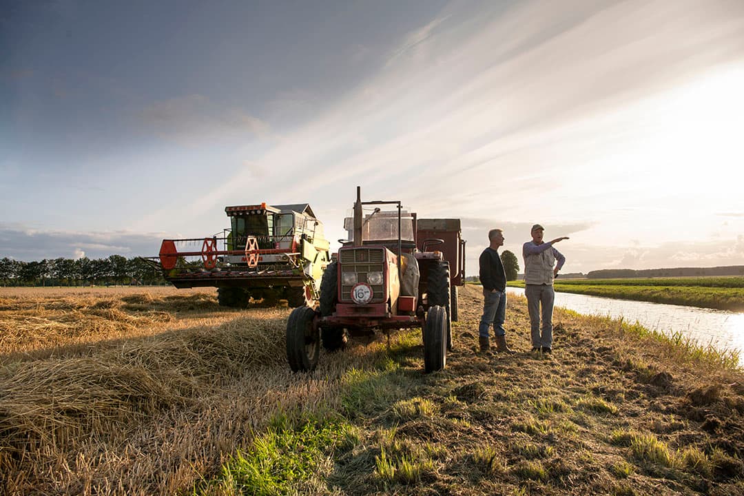Oogsten langs de bufferstrook. Vanuit het GLB en mestbeleid zijn bufferstroken tussen waterlopen en gewassen dit jaar een vereiste. - Foto: Mark Pasveer