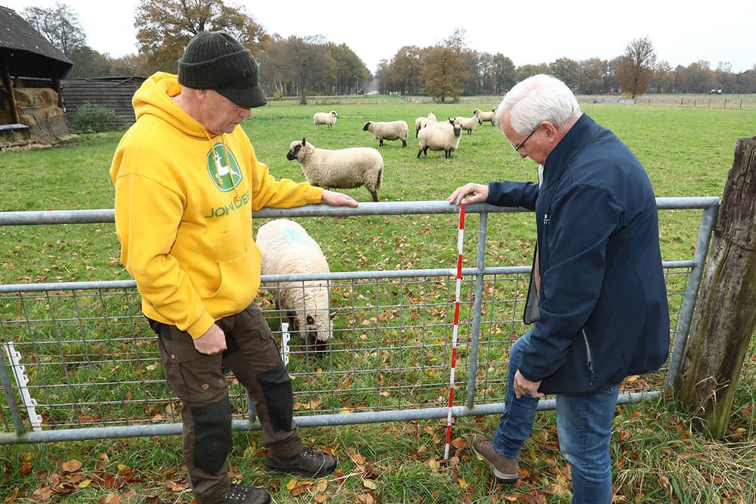 Gelders wolvenconsulent Johan Wesselink (r.) adviseert een schapenhouder over de afrastering.  Een kleine ruimte onder een hek kan voor een wolf al genoeg zijn. - Foto's: Henk Riswick