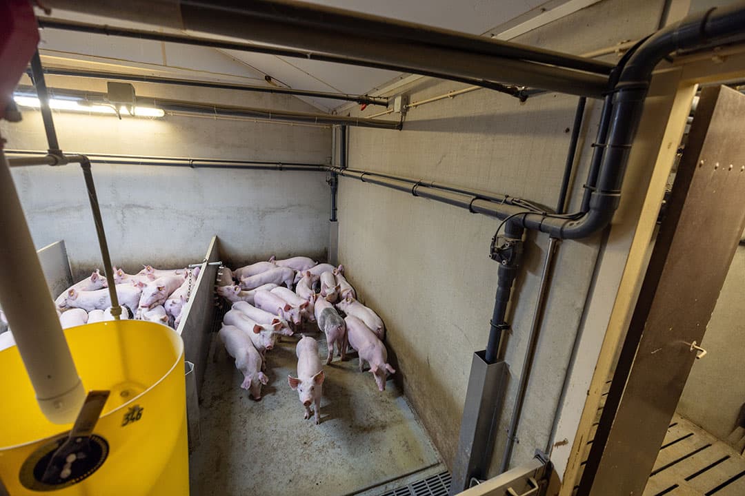 Een van de projecten die de werkgroep versnelt praktijkrijp wil hebben, is het putspoelsysteem Total Circulair Farmconcept. - Foto: Peter Roek