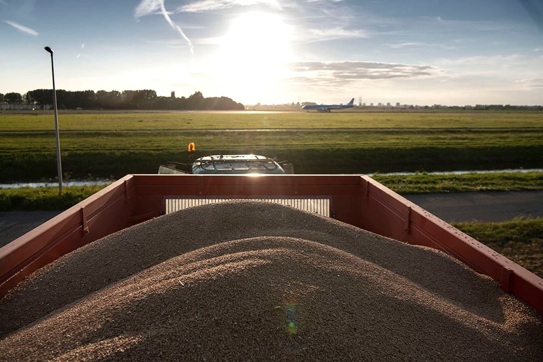 Boeren onder de rook van Schiphol. - Foto: Mark Pasveer