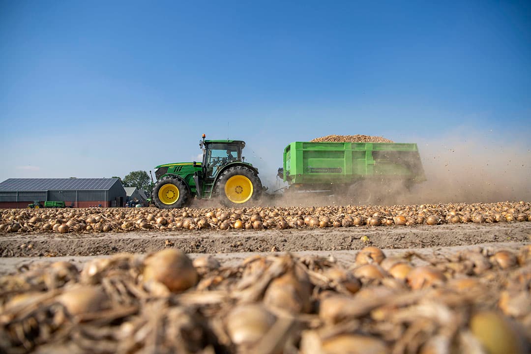 graanoogst aardappeloogst uienoogst akkerbouw 2023
