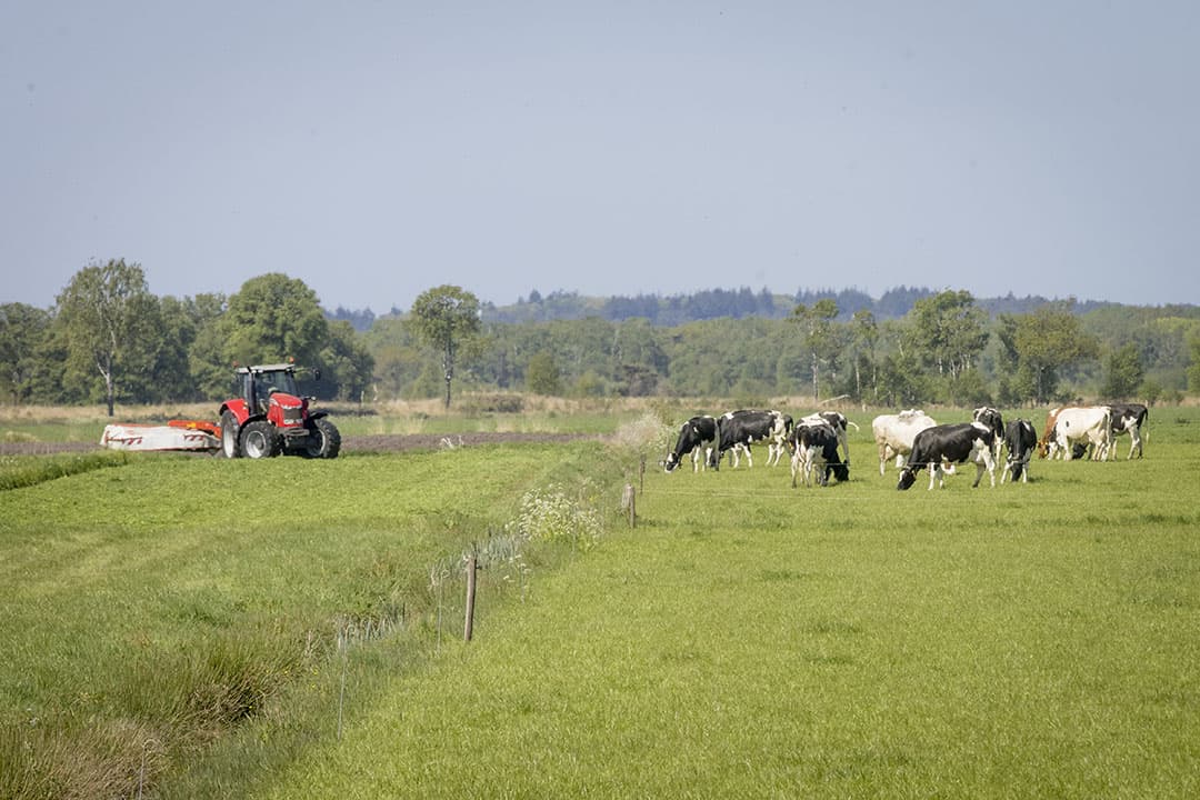 vergunning boerenbedrijf intrekken