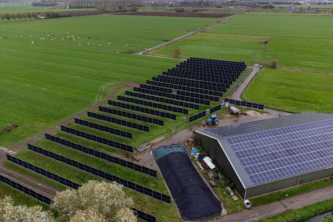 Melkvee- en schapenbedrijf met verticale zonnepanelen op het land. - Foto: Herbert Wiggerman