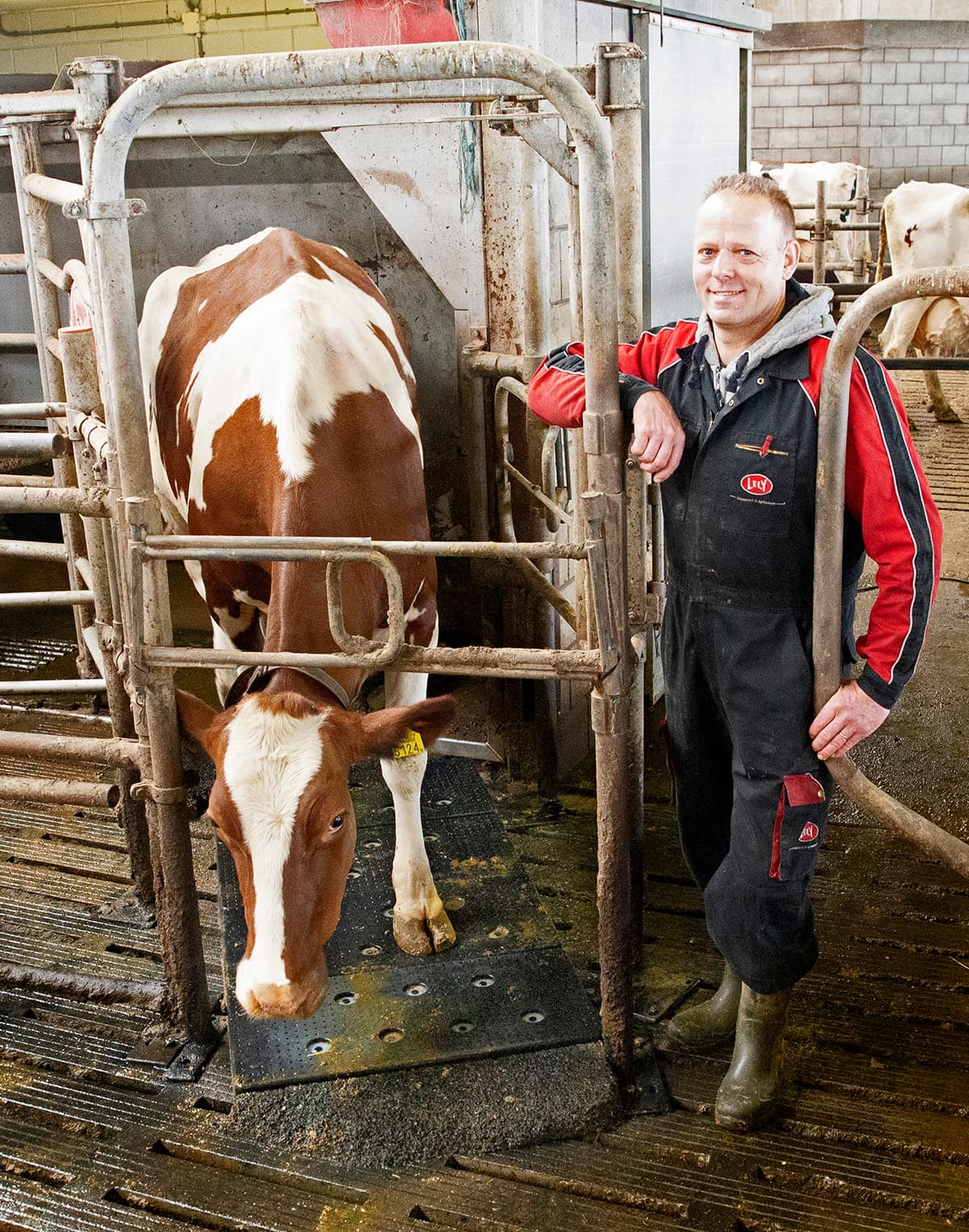 Melkveehouder Marchel Koster.