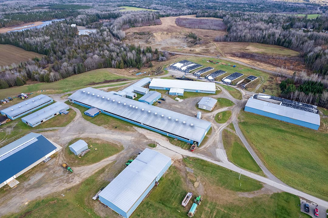 melkveehouderij canada
