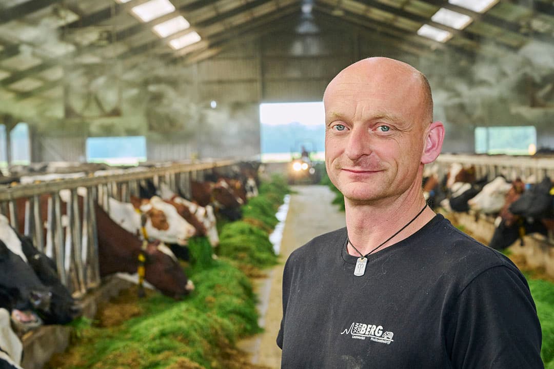 Wilco van den Berg (45) heeft in Oploo (N-Br.) 415 melkkoeien en 260 stuks jongvee.