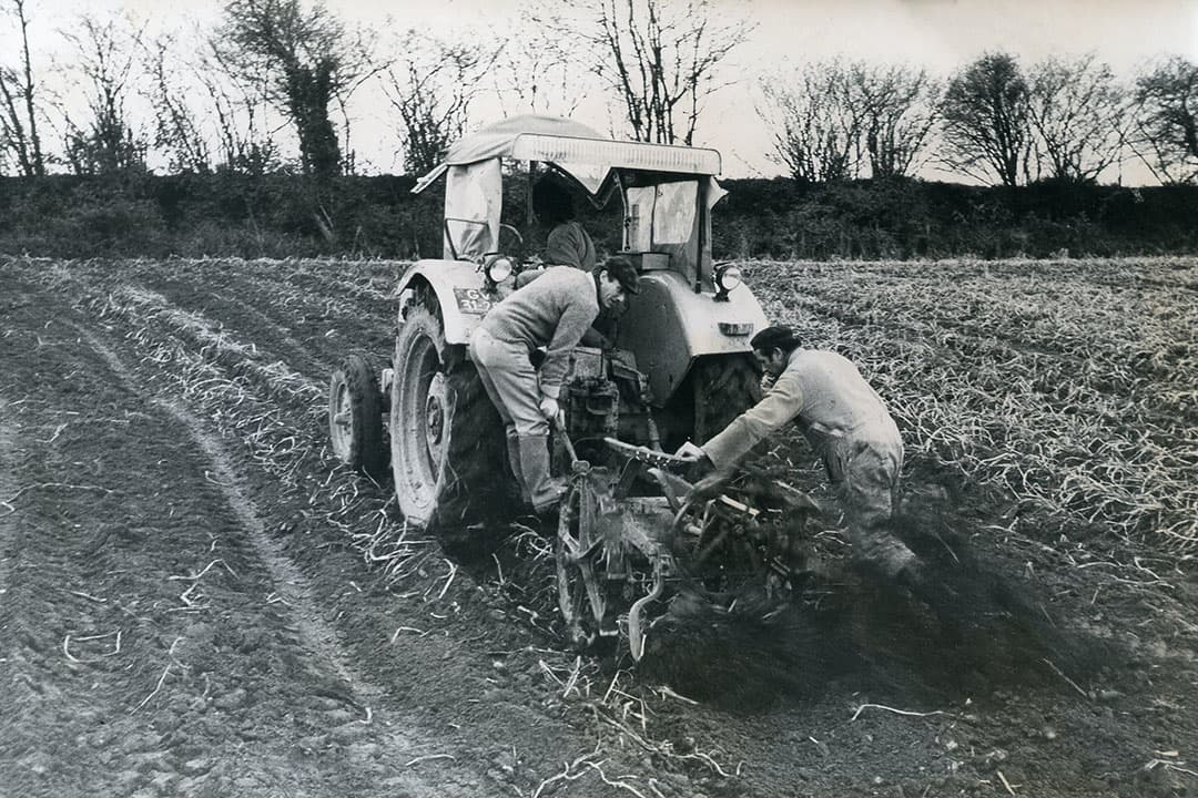Toen deze foto in 1963 gemaakt werd, was deze werpradrooier al grotendeels van de akkers verdwenen. Veel boeren hielden hem echter achter de hand. Bij natte omstandigheden bleek hij namelijk beter bruikbaar dan de ‘moderne’ machines, zeker op kleigrond. - Foto: Misset