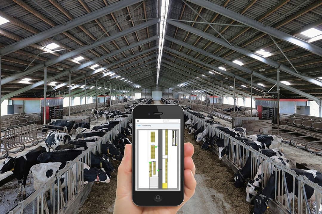Koe Locatiebepaling levert Versteeg dagelijks zo’n 45 minuten pure tijdswinst op. In combinatie met tochtdetectie en gezondheidsmonitoring nemen ook de (re)productieresultaten meetbaar toe.