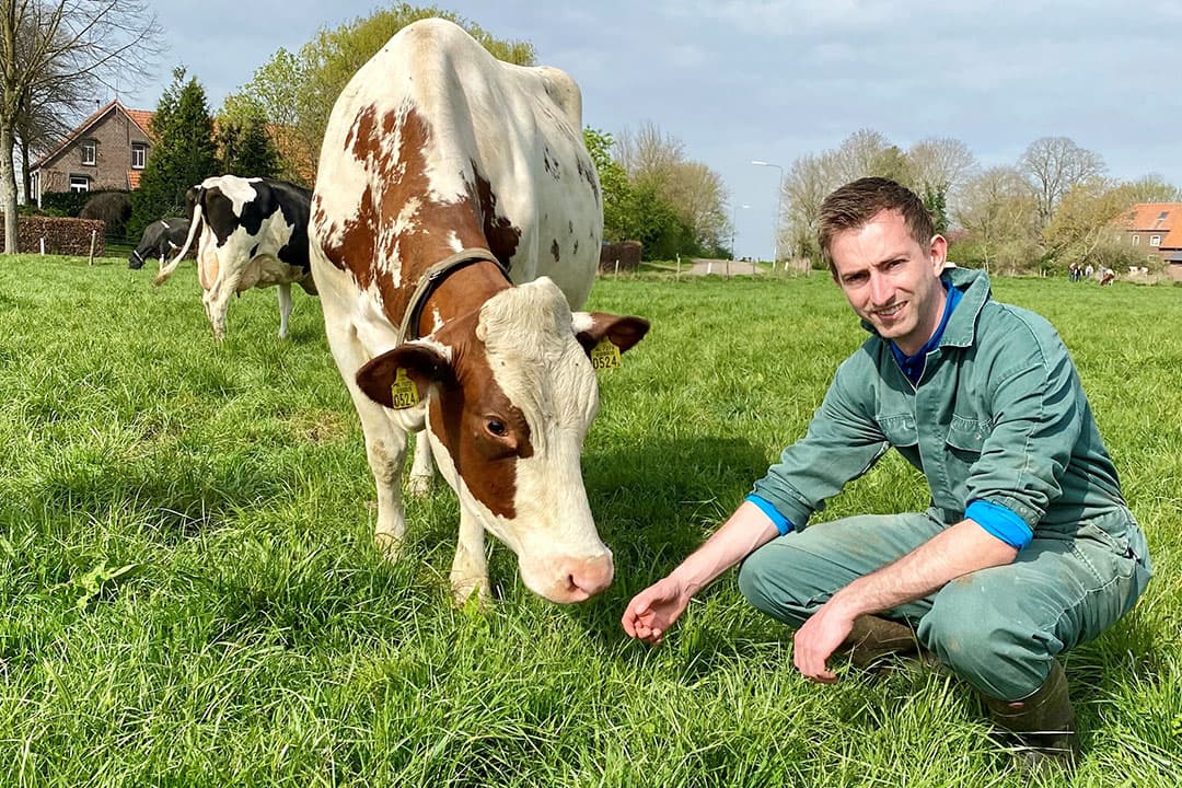 Luuk Maas, melkveehouder en product manager bij DSV zaden, combineert onderzoek en praktijkervaring. - Foto's DSV zaden