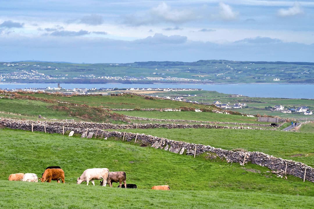 aanscherping derogatie ierland